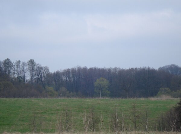 Zemědělské pozemky 61.000 m2 v Chotěbuzi.