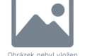 Ostravská aukční síň s.r.o. v roce 2009 opět mezi desíti nejlepšími
