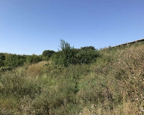 zemědělské pozemky 9 769 m2 k.ú. Slavonín, Olomouc zemědělské pozemky 9 769 m2 k.ú. Slavonín, Olomouc