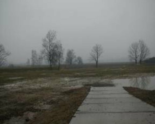 Zemědělské pozemky v Bohumíně - Novém Bohumíně. Exekuční dražba. Zemědělské pozemky v Bohumíně - Novém Bohumíně. Exekuční dražba.