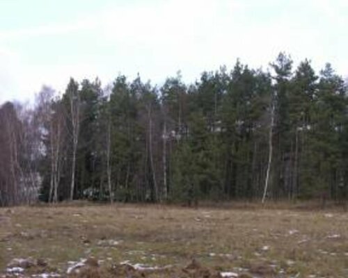 Les v Chlumu nad Jihlavou, okr. Třebíč. Exekuční dražba. Les v Chlumu nad Jihlavou, okr. Třebíč. Exekuční dražba.