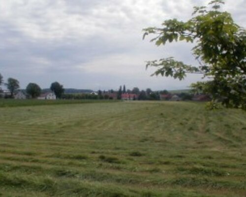 2 pozemkové parcely v Krmelíně. Exekuční dražba. 2 pozemkové parcely v Krmelíně. Exekuční dražba.