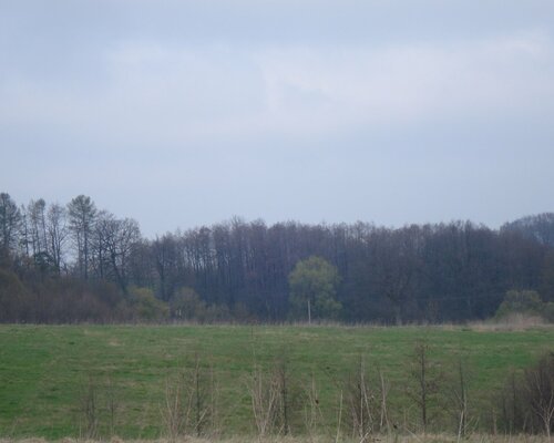 Zemědělské pozemky 61.000 m2 v Chotěbuzi.