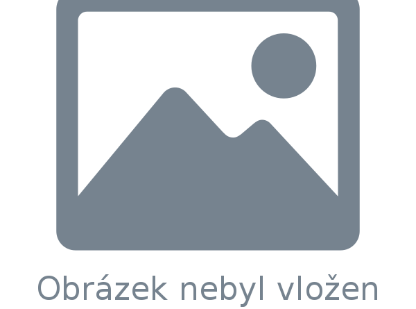 Ostravská aukční síň s.r.o. v roce 2009 opět mezi desíti nejlepšími